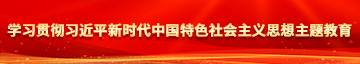 百度美女肏逼学习贯彻习近平新时代中国特色社会主义思想主题教育